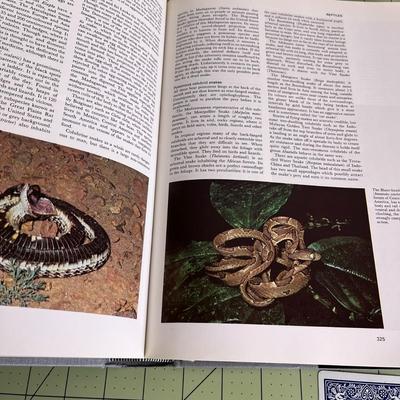 Encyclopedia of Animal Book - 1