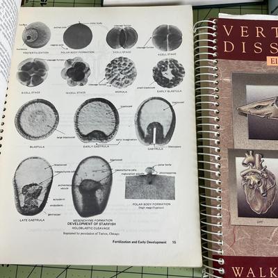 5 Anatomy Books