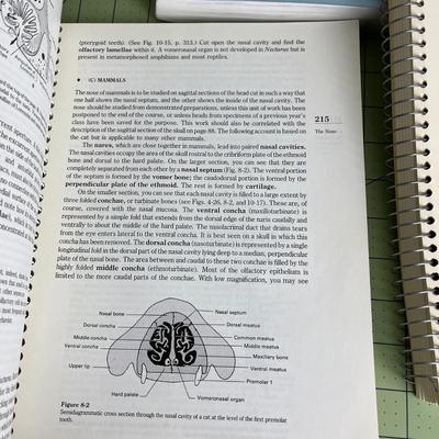 5 Anatomy Books