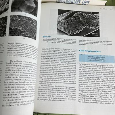 Pack of 3 Invertebrates Books