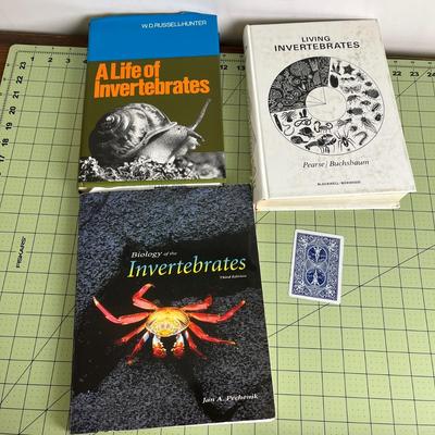 Pack of 3 Invertebrates Books