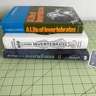 Pack of 3 Invertebrates Books