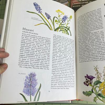 Pack of 4 Gardening Idea Books