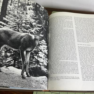 Collection of 2 Books