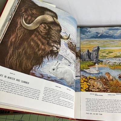 Collection of 2 Books