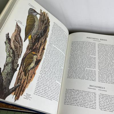 2 Set of Birds Living Books
