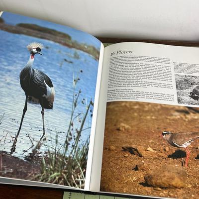 2 Set of Birds Living Books