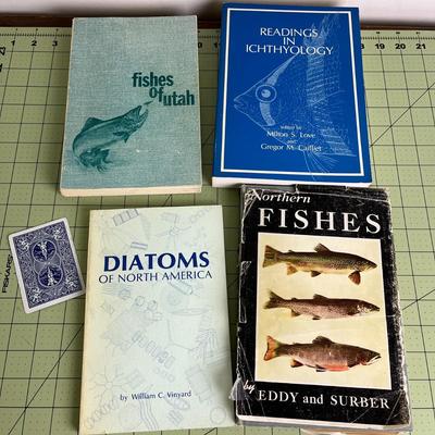 4 Set of Books