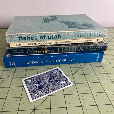 4 Set of Books