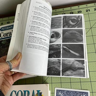 3 Various Type Books