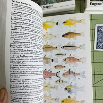 3 Various Type Books