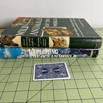 2 Various Type Books