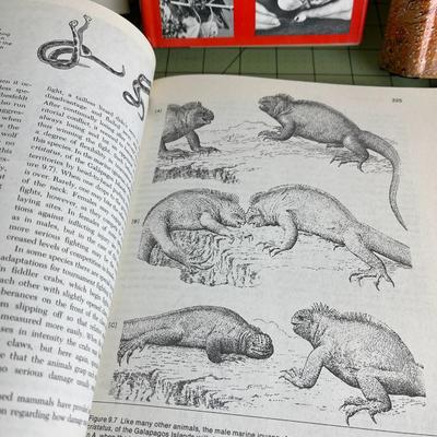 Set of 6 books