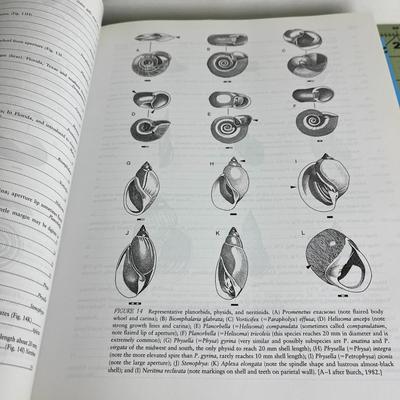 Set of 3 books