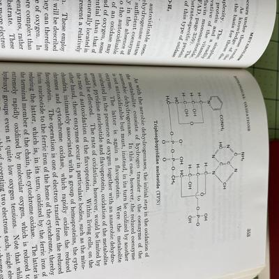 Set of 4 books