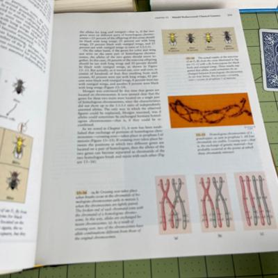 Set of 3 books