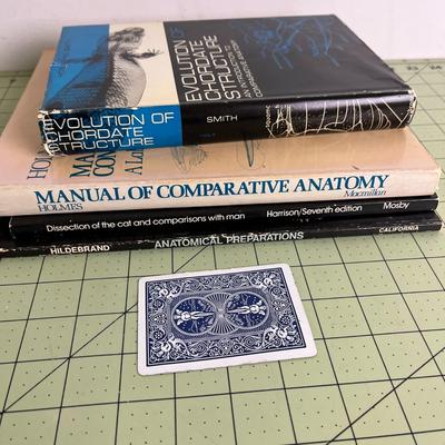 Set of 4 books