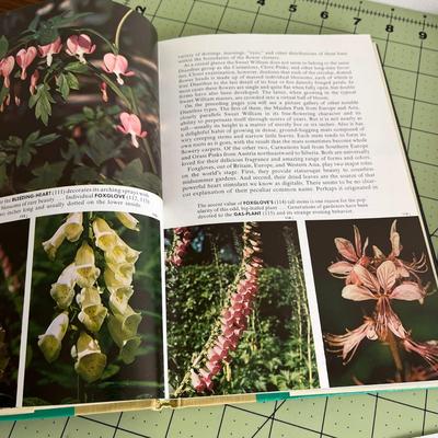 Set of 2 books