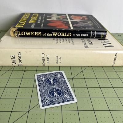 Set of 2 books