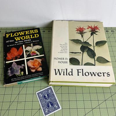 Set of 2 books