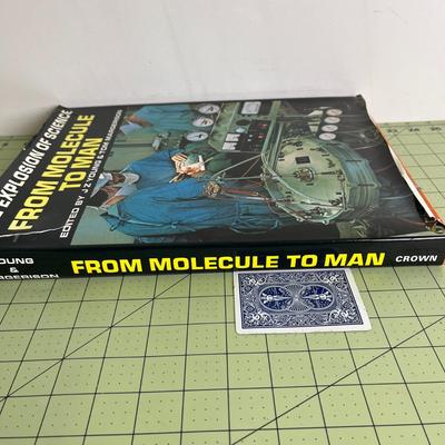 From molecule to man