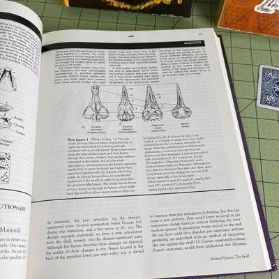 Set of 3 books