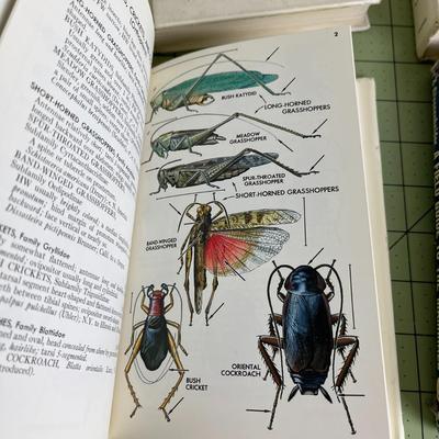 4 Type of Books
