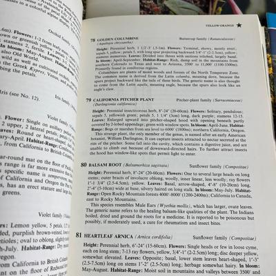 8 Collections of Books