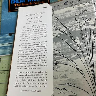 5 Set of Books