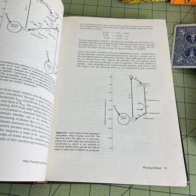Set of 6 Books