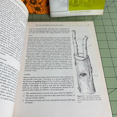Set of 6 Books