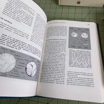 Set of 4 Books