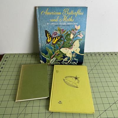 3 Various Type Books