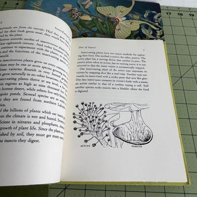3 Various Type Books