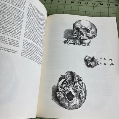 2 Various Type Books