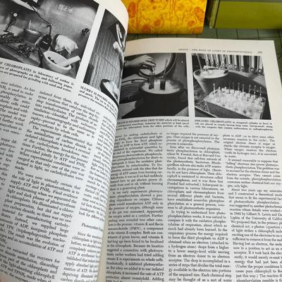 6 Various Type Books