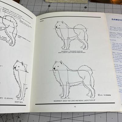 4 Set of Books