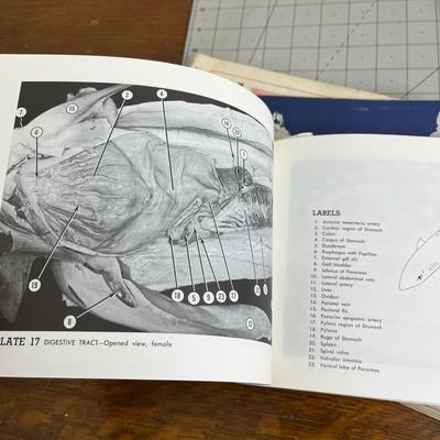 10 Various Type Books