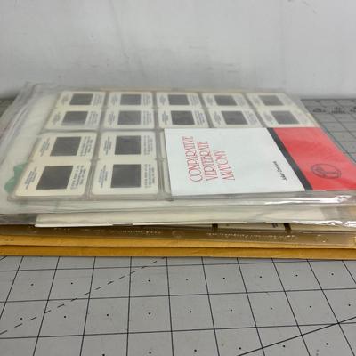 6 Document storage