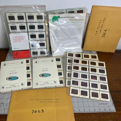 6 Document storage