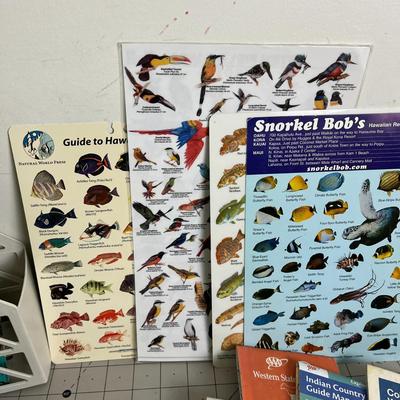 Multiple Type Books