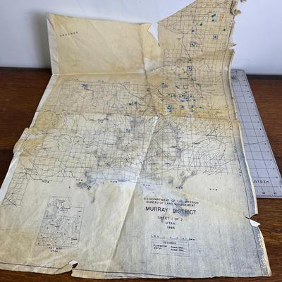 Land Map