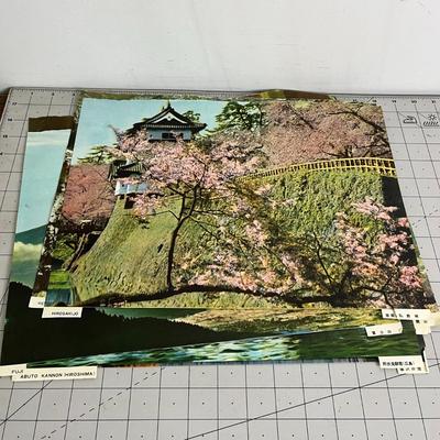 7 Type of Photo Prints