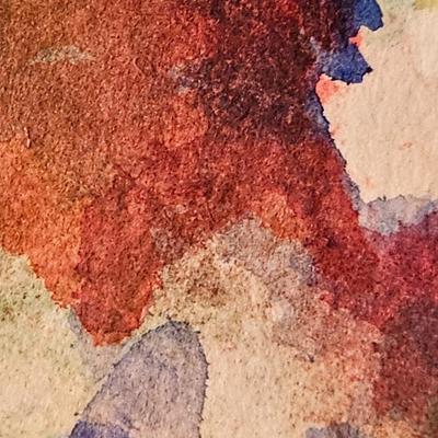Sally Ward Flower painting