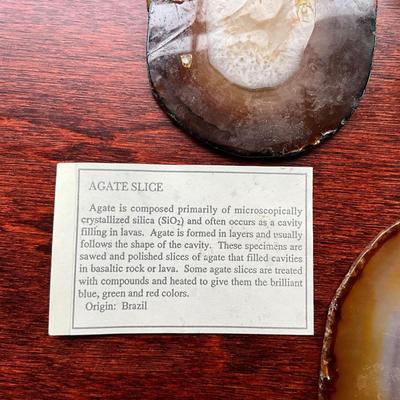 DO1349 Various AGATE Slices