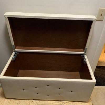 Vintage Retro Trunk
