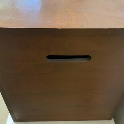Wood Trunk
