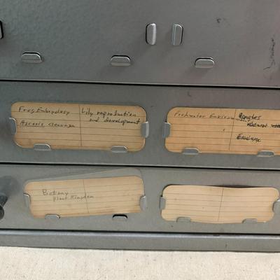 Brumberger Slide Filing Drawers Full of some pretty cool slides!