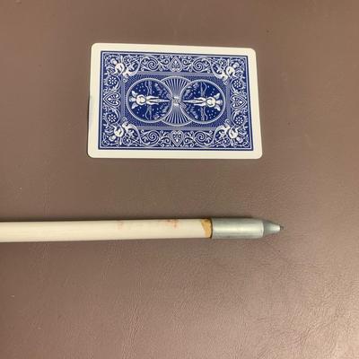 Arrows with Leather Case