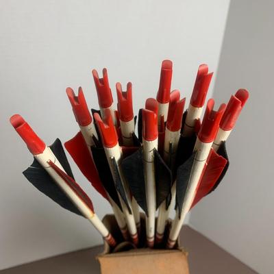Arrows with Leather Case